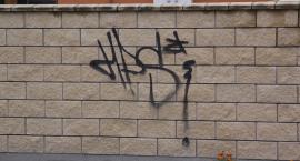 Fotka nr 3 z 13