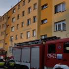 Fotka nr 2 z 16