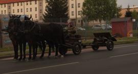 zdjęcie nr 52