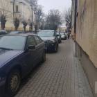 Fotka nr 1 z 12