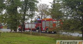 Fotka nr 3 z 11