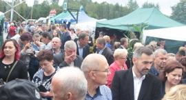 zdjęcie nr 18