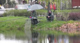 zdjęcie nr 7