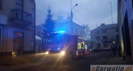 zdjęcie nr 8