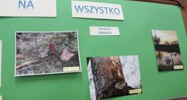 zdjęcie nr 58