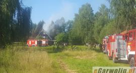 Fotka nr 2 z 11