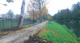 zdjęcie nr 8