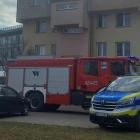 zdjęcie nr 8
