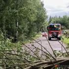 Fotka nr 1 z 8