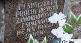 zdjęcie nr 15