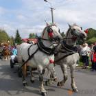 zdjęcie nr 84