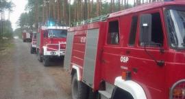 Fotka nr 5 z 36