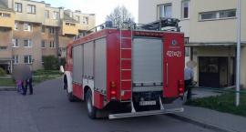 Fotka nr 2 z 4