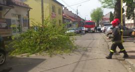 zdjęcie nr 14