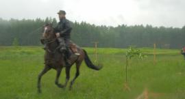 zdjęcie nr 49