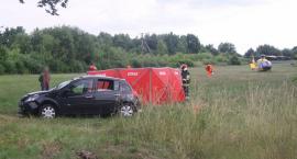 Fotka nr 5 z 17