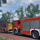 Fotka nr 1 z 5