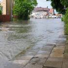 zdjęcie nr 42