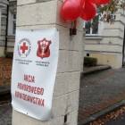 zdjęcie nr 43
