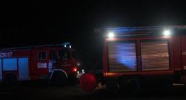 zdjęcie nr 33