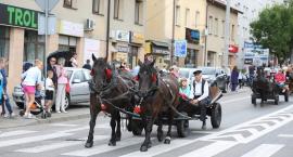 zdjęcie nr 25
