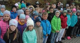 zdjęcie nr 17