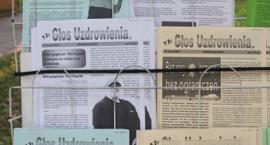 zdjęcie nr 17