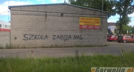 Fotka nr 3 z 16