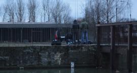Fotka nr 5 z 6