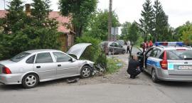 zdjęcie nr 13