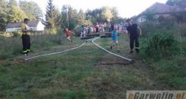 zdjęcie nr 141