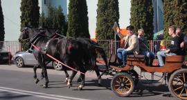 zdjęcie nr 72