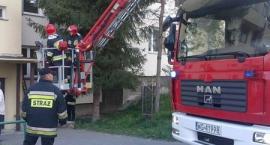 Fotka nr 1 z 4