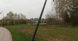 Fotka nr 2 z 6