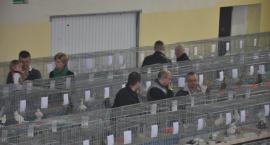 zdjęcie nr 18