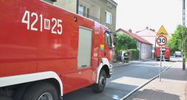 zdjęcie nr 7