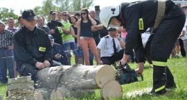 zdjęcie nr 135