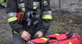 zdjęcie nr 98