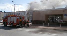 Fotka nr 3 z 11