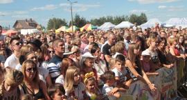 zdjęcie nr 12