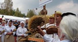 zdjęcie nr 84