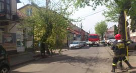 zdjęcie nr 13