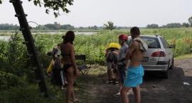 zdjęcie nr 14