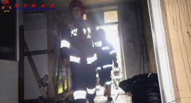 Fotka nr 4 z 10