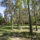 zdjęcie nr 35