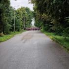 zdjęcie nr 54