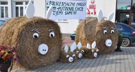 zdjęcie nr 12