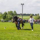 zdjęcie nr 59