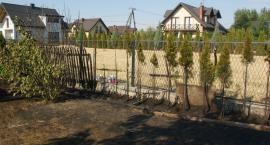 zdjęcie nr 7
