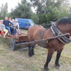 zdjęcie nr 34